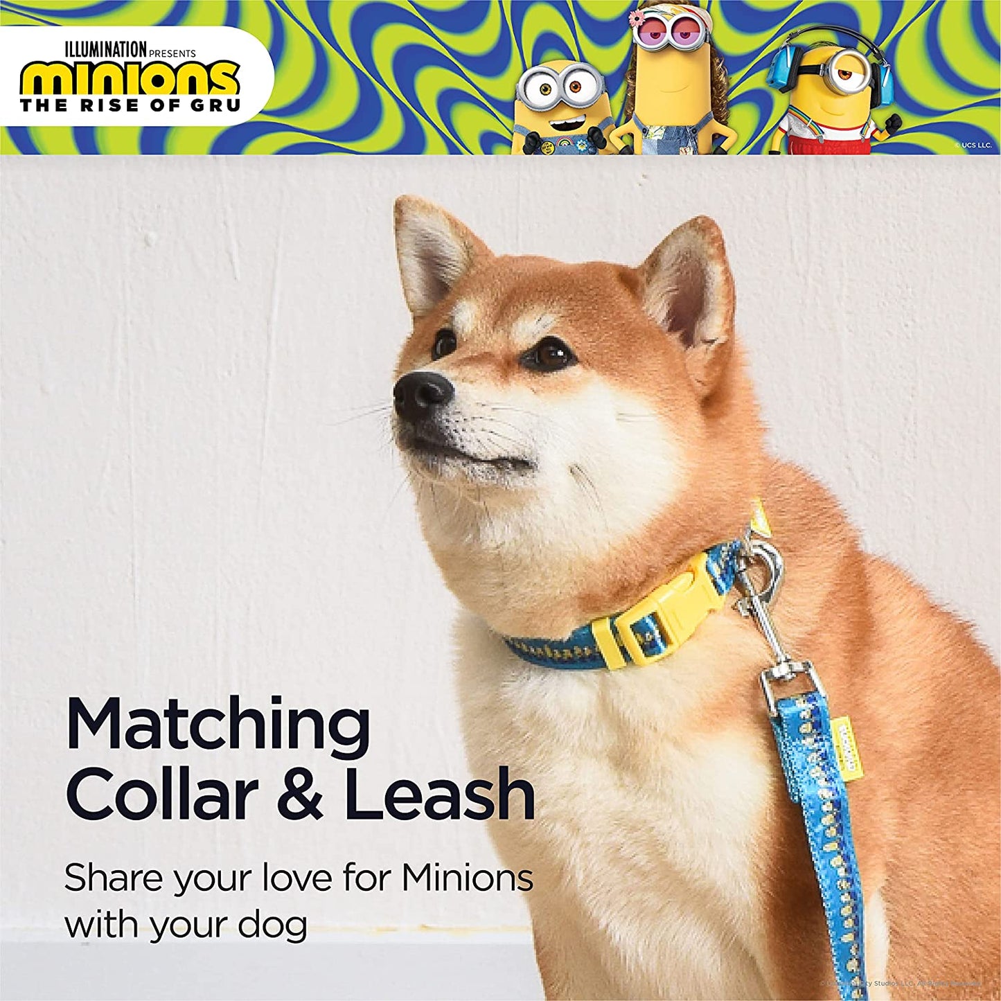 Dog Collar, Large, Blue and Yellow in a Row| Gifts for Fans and Their Pets | Officially Licensed Pet Product from Universal Studios